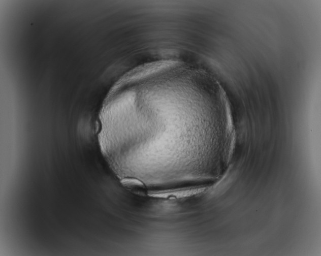 X0000093140140200710101124