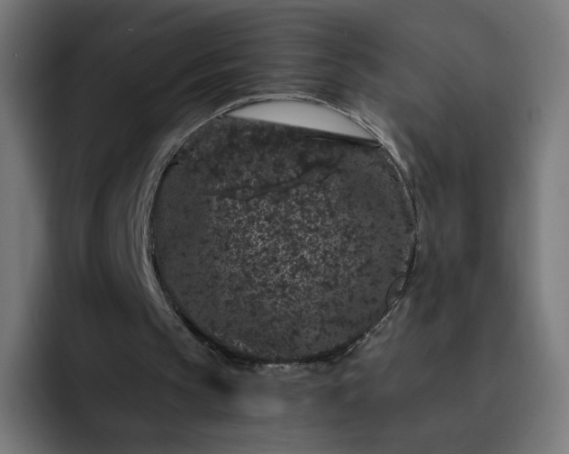 X0000093140145200710101123