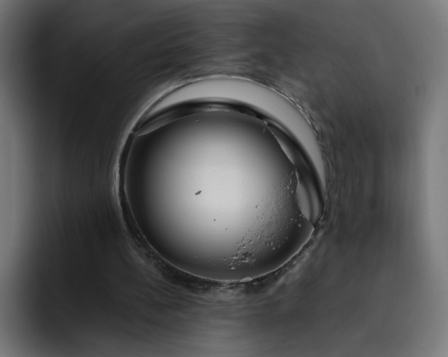 X0000093140148200710101123