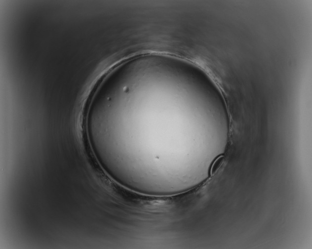 X0000093140151200710101123