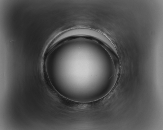 X0000093140152200710101123