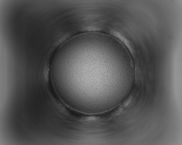 X0000093140153200710101123