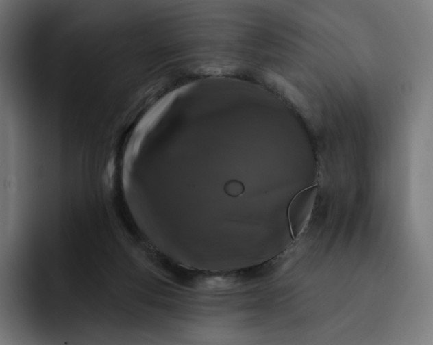 X0000093140163200710101124