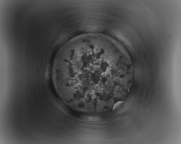 X0000093140165200710101124