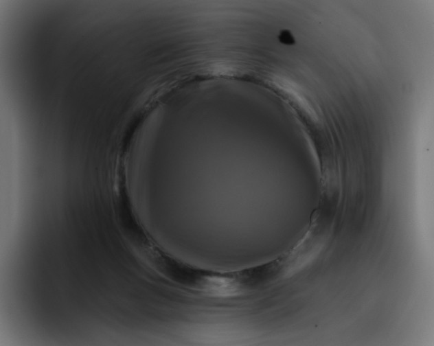 X0000093140167200710101124