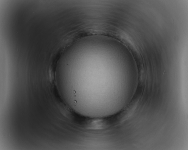 X0000093140173200710101124