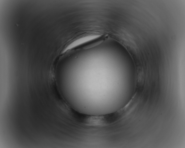 X0000093140179200710101124