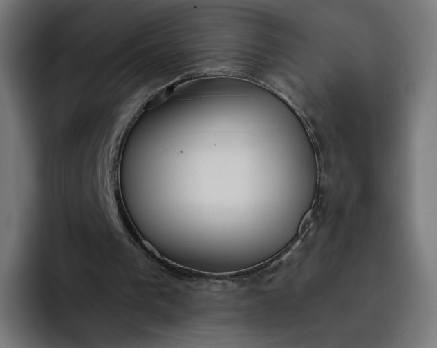 X0000093140193200710101123