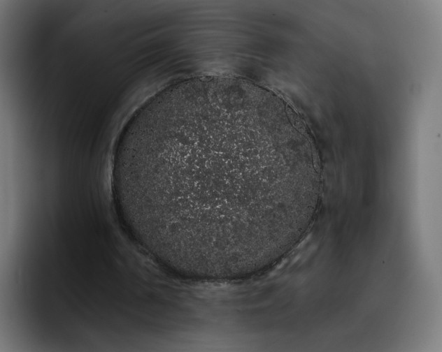 X0000093140194200710101123