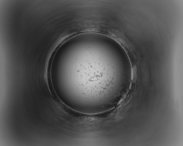 X0000093140195200710101123