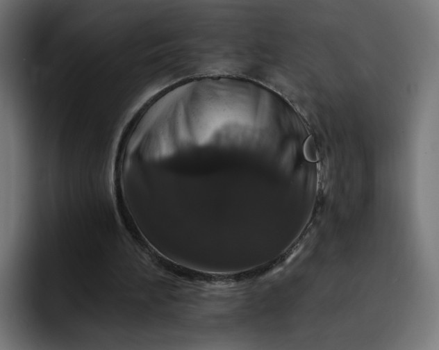 X0000093140196200710101123