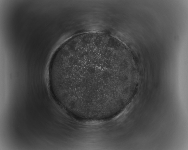 X0000093140198200710101123