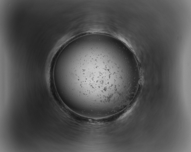 X0000093140199200710101123