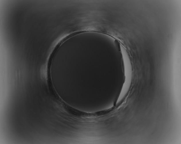 X0000093140200200710101123