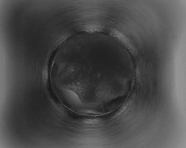 X0000093140202200710101123