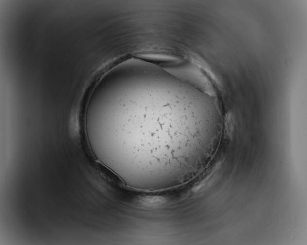 X0000093140203200710101123