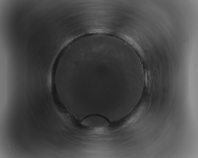 X0000093140204200710101123