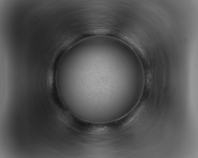 X0000093140206200710101123