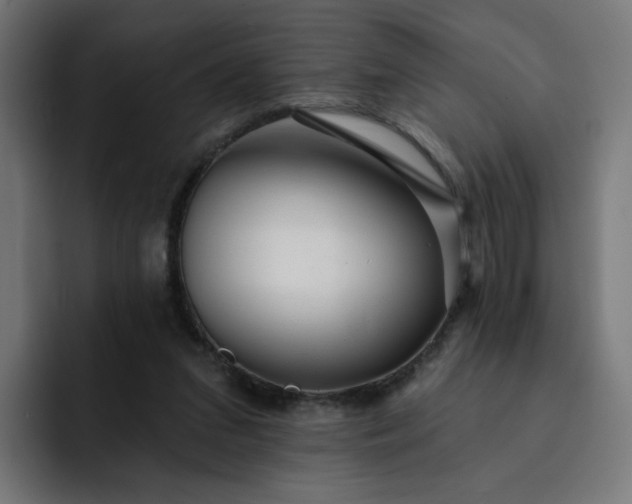 X0000093140207200710101123