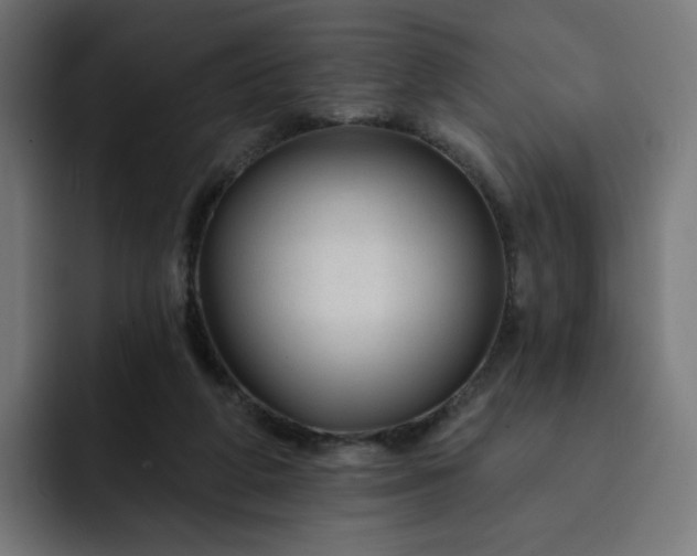 X0000093140210200710101123