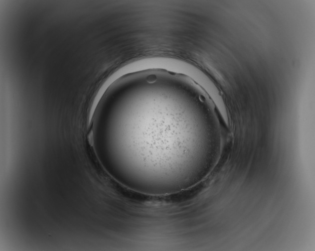 X0000093140211200710101123