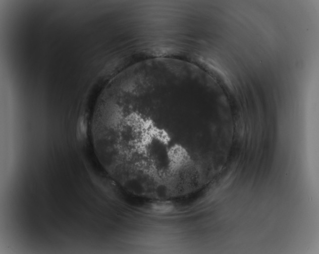 X0000093140214200710101123