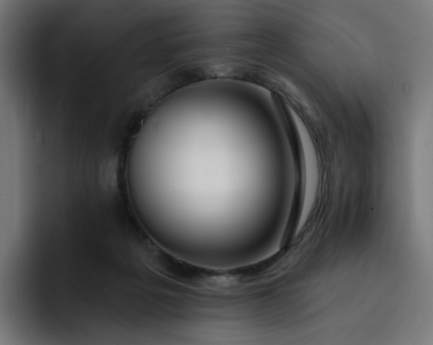 X0000093140217200710101123