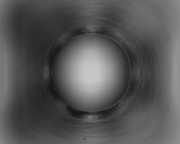 X0000093140220200710101123