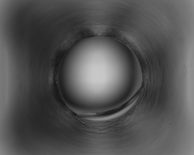 X0000093140221200710101123