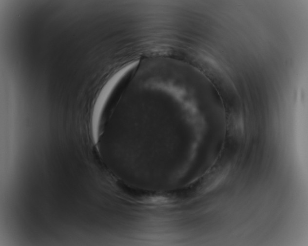 X0000093140224200710101123