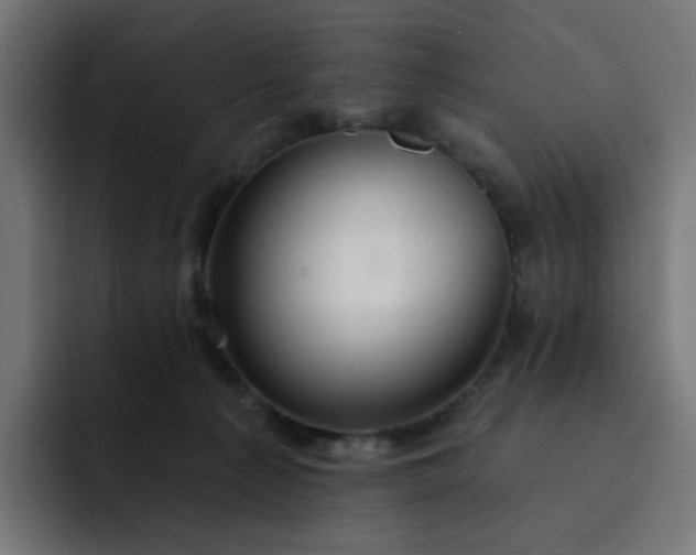 X0000093140225200710101123