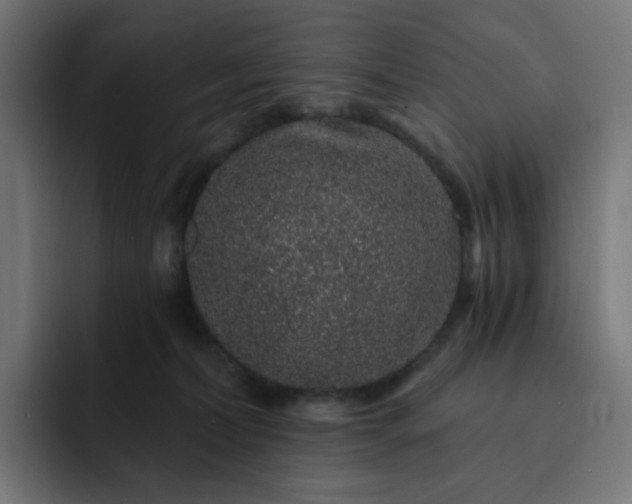 X0000093140228200710101123