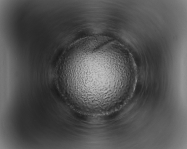 X0000093140230200710101123