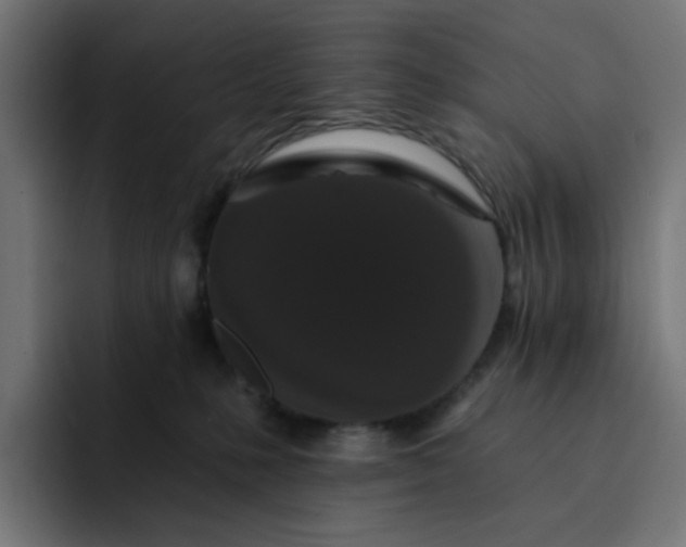 X0000093140231200710101123