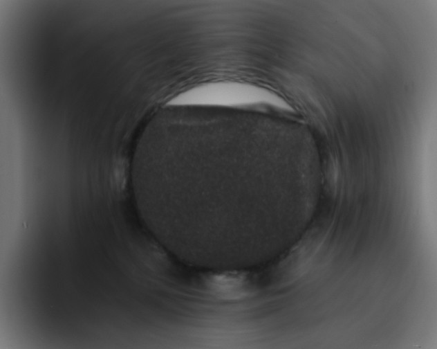 X0000093140232200710101123