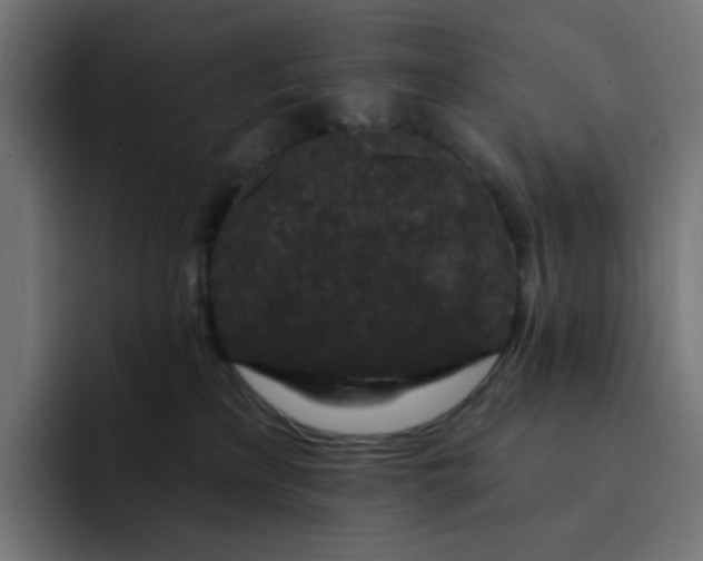 X0000093140233200710101123