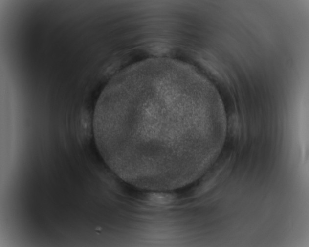 X0000093140234200710101123