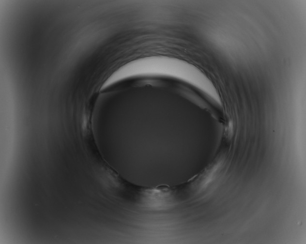 X0000093140239200710101123