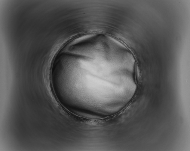 X0000093140241200710101122