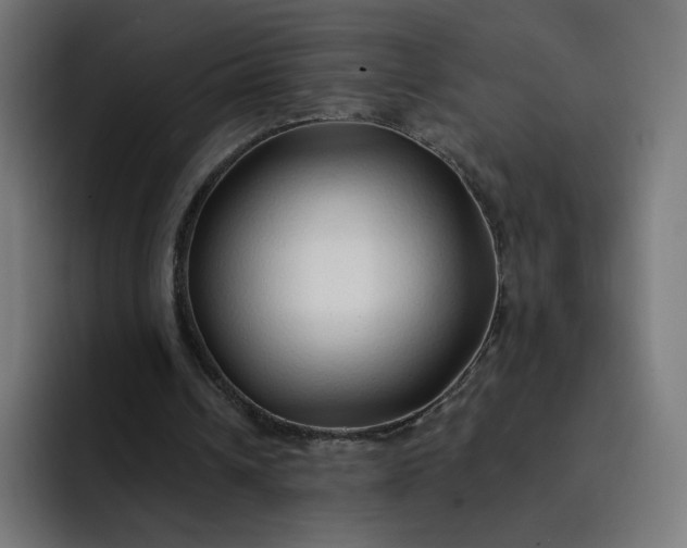 X0000093140242200710101122