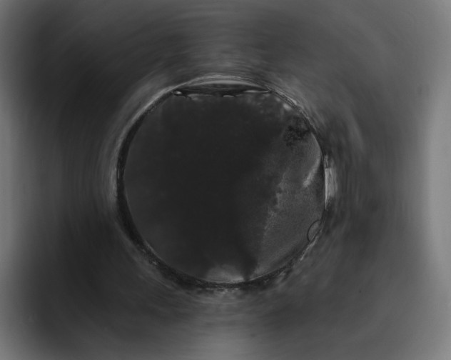 X0000093140243200710101122