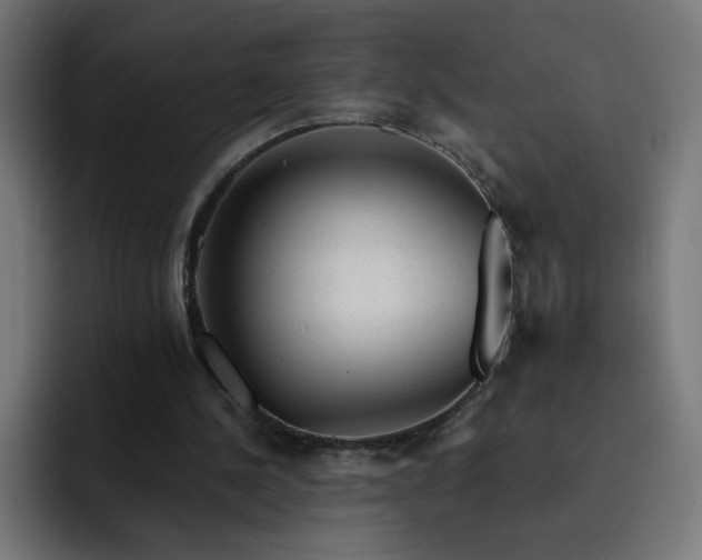 X0000093140244200710101122