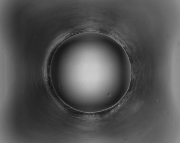 X0000093140245200710101122