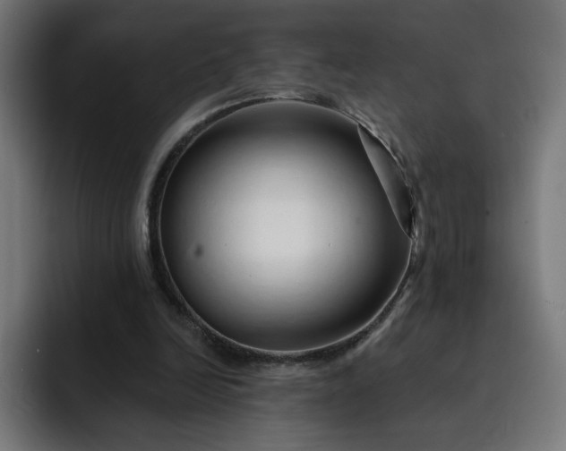 X0000093140246200710101122