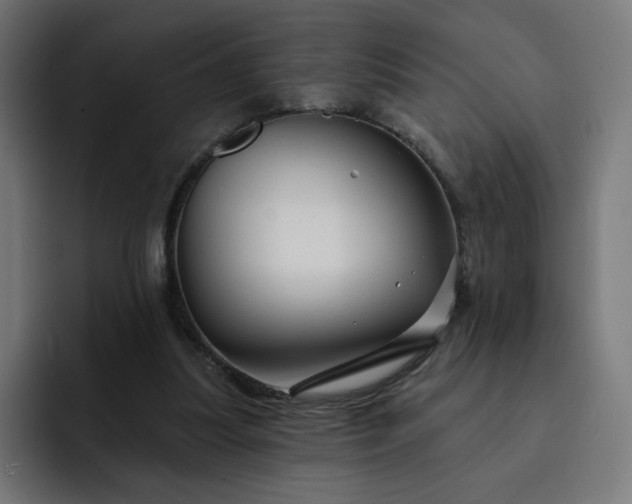 X0000093140251200710101122