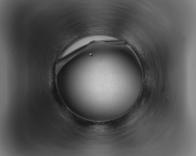 X0000093140255200710101122