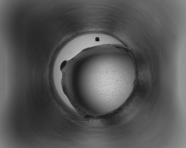 X0000093140256200710101122