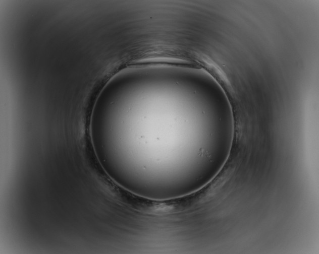 X0000093140257200710101122