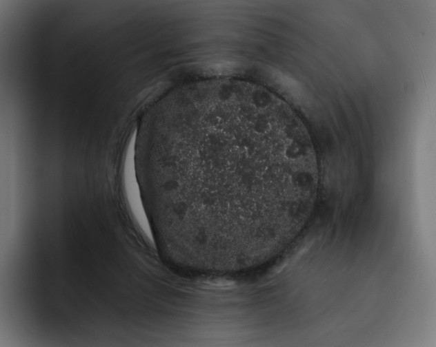 X0000093140258200710101122