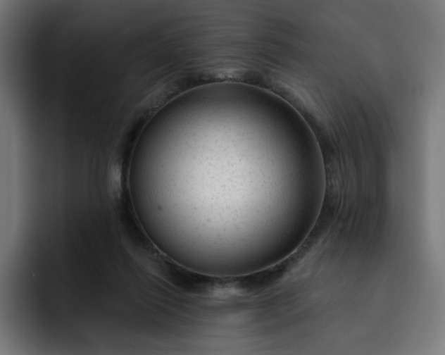 X0000093140262200710101122